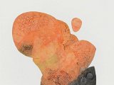 JANNIS KARYDAKIS ”Natur 2017-05” -53x78 cm /Intaglio on paper