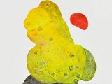 JANNIS KARYDAKIS ”Natur 2017-06” -53x78 cm /Intaglio on paper